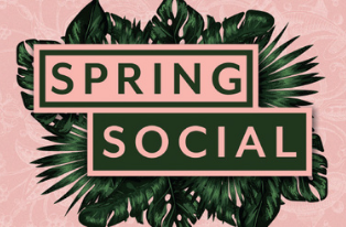 Spring Social Package Thumbnail | Brisbane Racing Club